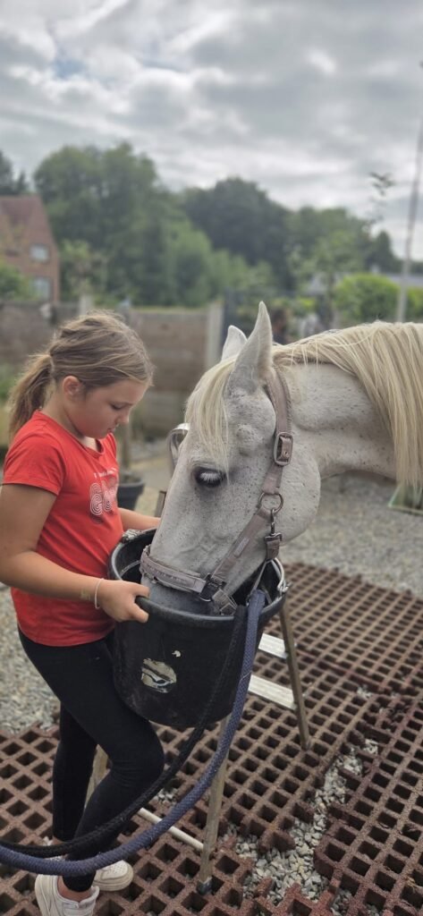kind-geeft-paard-te-eten-met-een-plastic-emmer