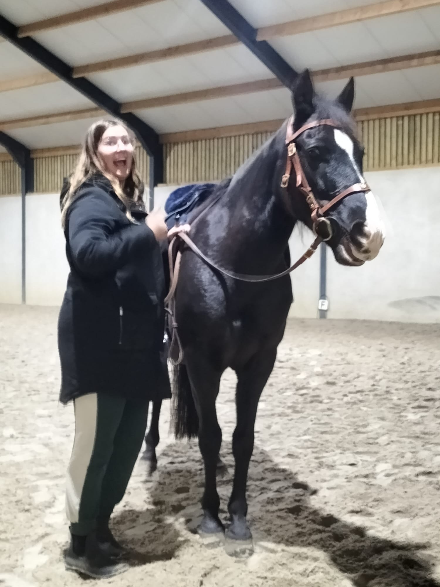 linda van creatorlinda blij met pito grondwerk oefenen naar ernstige val paard
